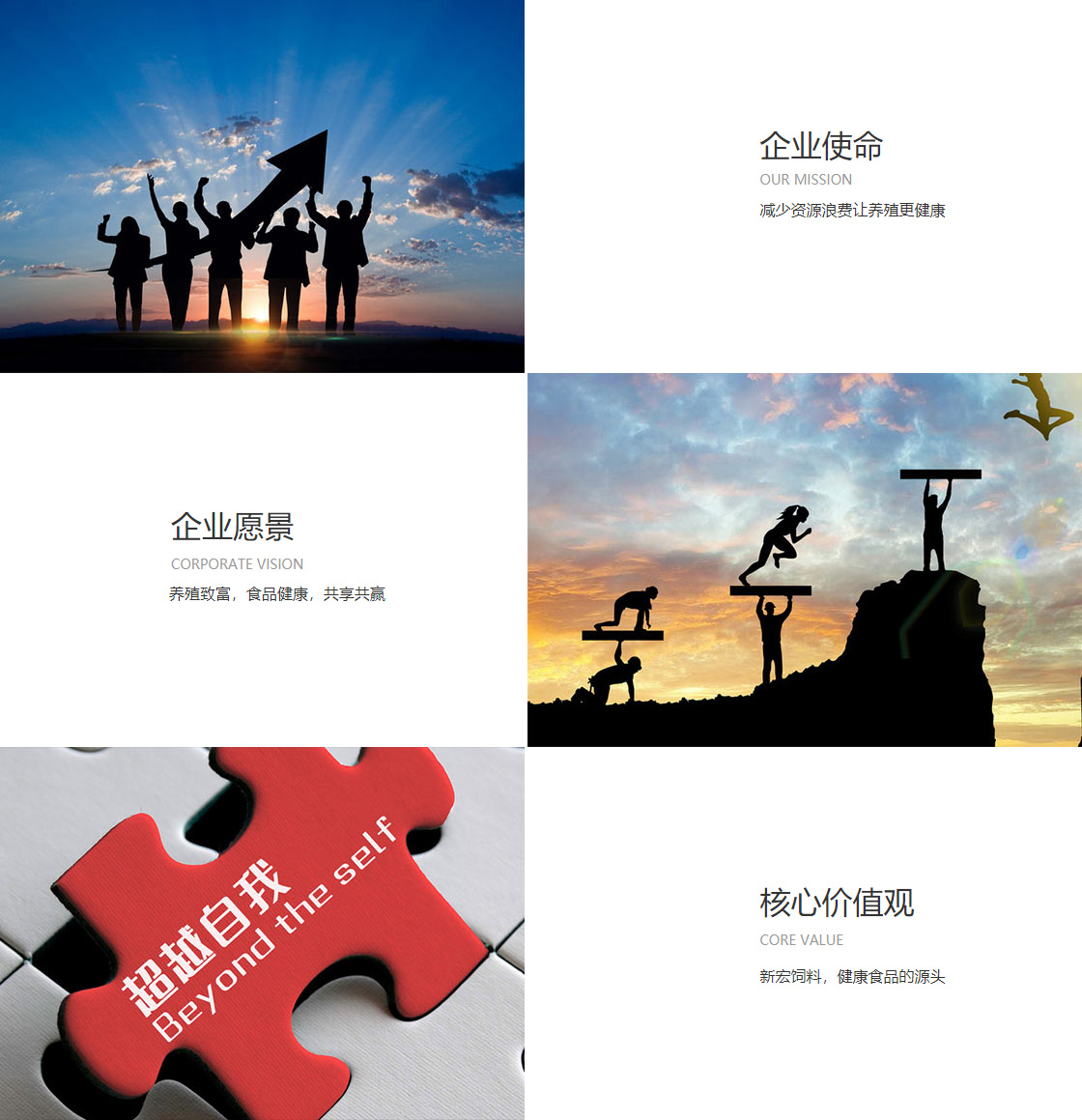 星辉娱乐平台(图1)